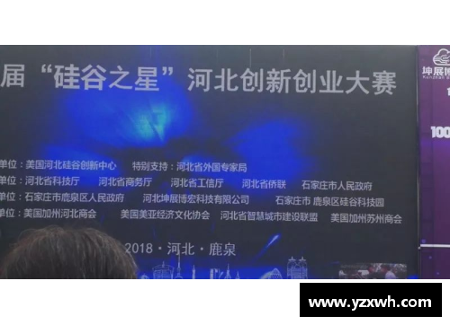 体育明星创业探索：成功背后的智慧与挑战