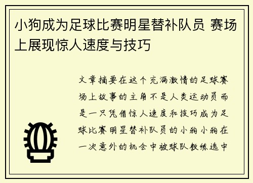 小狗成为足球比赛明星替补队员 赛场上展现惊人速度与技巧